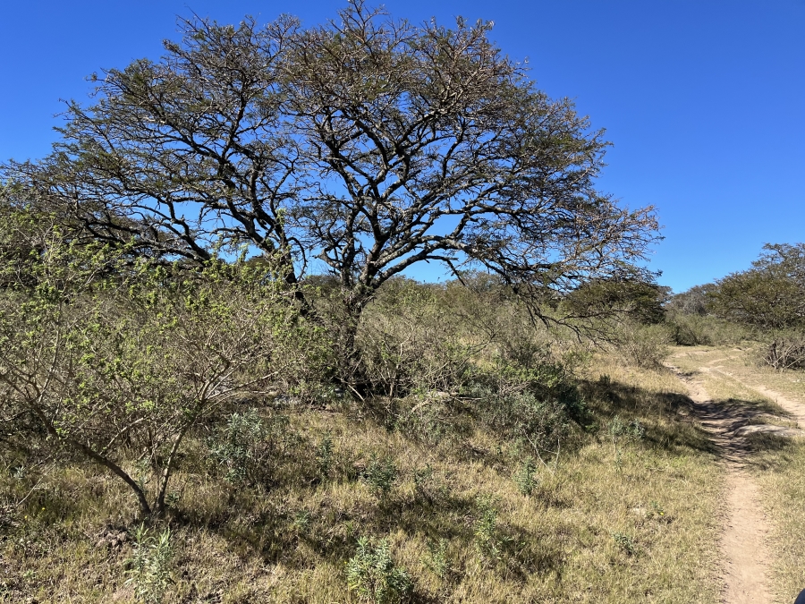 0 Bedroom Property for Sale in Stutterheim Rural Eastern Cape